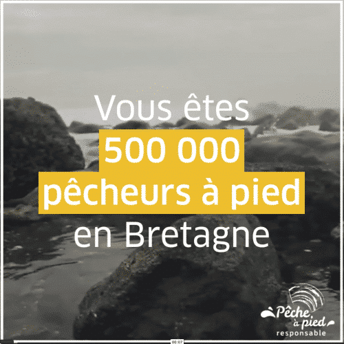 texte_sur_video_peche_a_pied