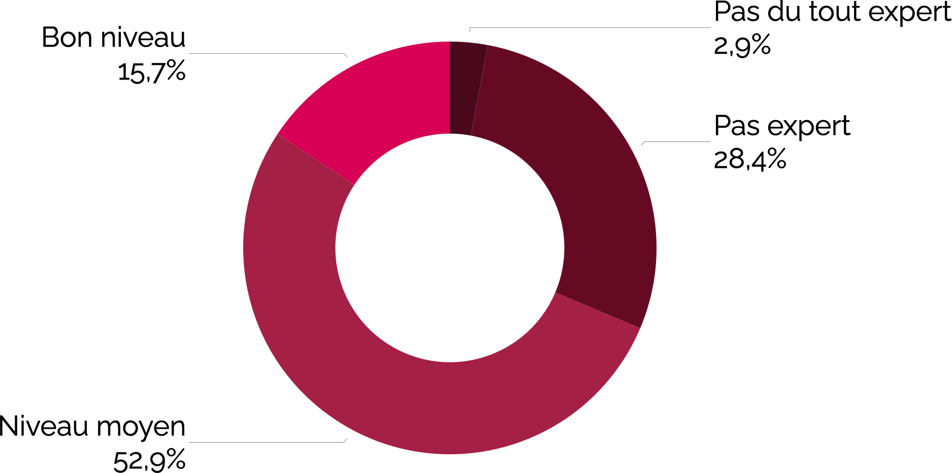 Niveau d'expertise ressenti sur la compétence de création vidéo